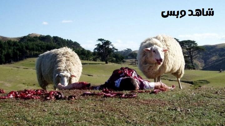 مشاهدة فيلم Black Sheep 2006 مترجم